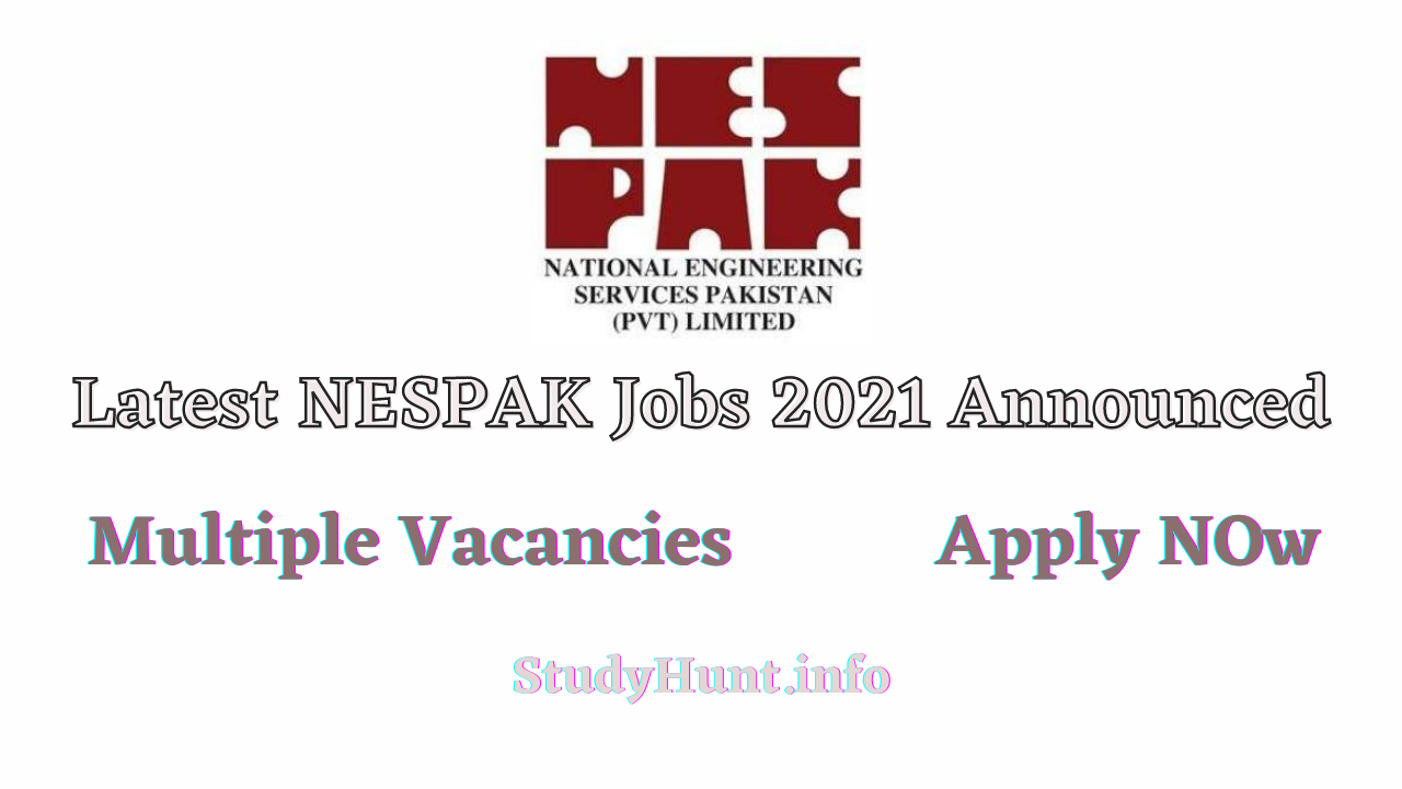 NESPAK Jobs 2021 Apply Online