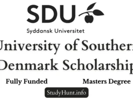 University of Southern Denmark Scholarship