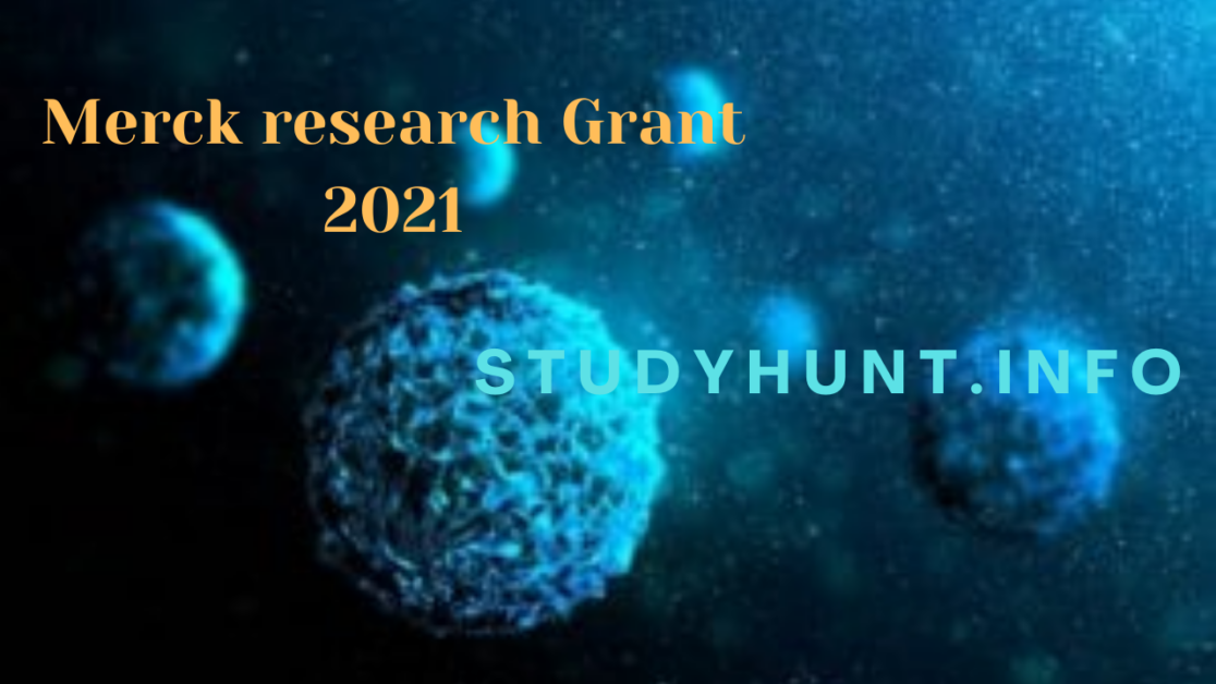Merck research Grant 2021