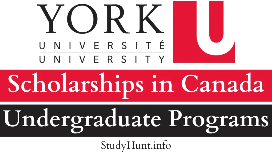 York University Undergraduate Scholarships