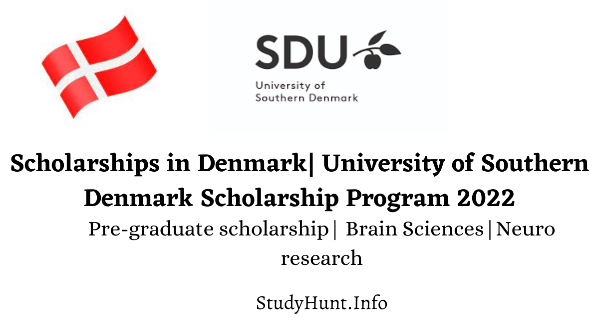 University of Southern Denmark Scholarships