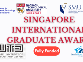 Singapore International Graduate Award for international students
