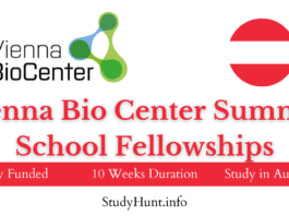 Vienna Bio Center Summer School Fellowships