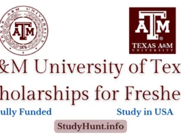A&M University of Texas Scholarships for Freshers
