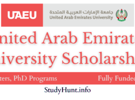 United Arab Emirates University Scholarships