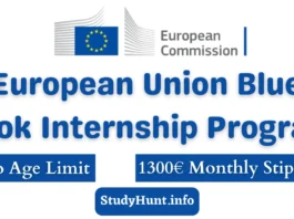 European Union Blue Book Paid Internship Program
