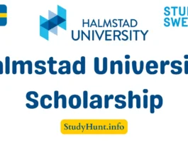 Halmstad University Scholarship