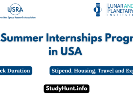 LPI Summer Internships Program