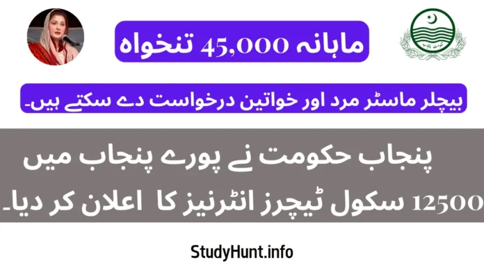 school teacher internees
